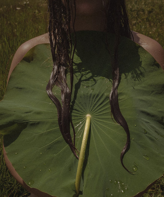 The Origin of Ayurveda & The Hair Growth Elixir